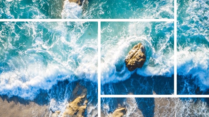 pwc-netzero-survey-related-content