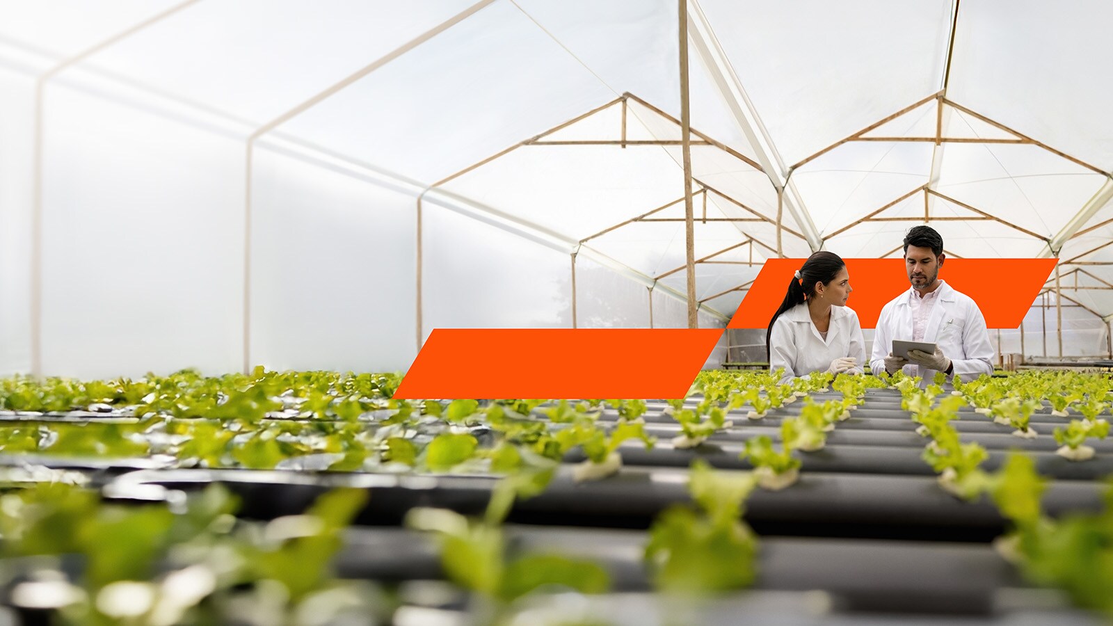 Serviços de Sustentabilidade - Natureza e biodiversidade